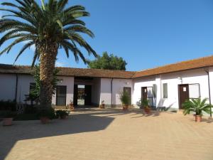 a building with a palm tree in the courtyard at Agriturismo Trigna in Lamezia Terme