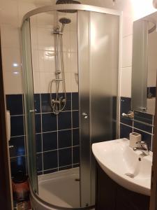 Ένα μπάνιο στο Briza de Munte +39 φωτογραφίες