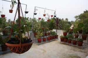 Aaron's Homestay外面的花园