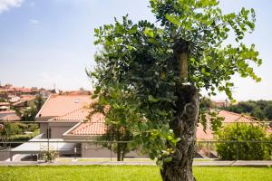 a tree in a yard in front of a house at Casa Vacanza Etna Dream in Zafferana Etnea