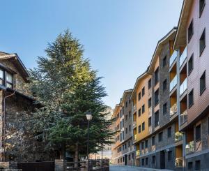 ein Baum in der Mitte einer Straße mit Gebäuden in der Unterkunft Pierre & Vacances Andorra El Tarter in El Tarter