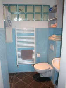 La salle de bains bleue est pourvue de toilettes et d'un lavabo. dans l'établissement Ferienhaus-Utspann, à Lemkenhafen auf Fehmarn