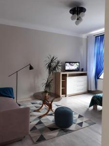 Televízia a/alebo spoločenská miestnosť v ubytovaní Apartament w Sercu Warmii I