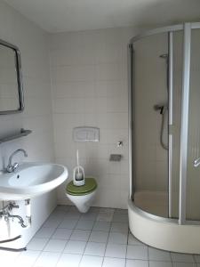 a bathroom with a sink and a toilet and a shower at Ferienheim "Zur Krone" in Kurort Oberwiesenthal