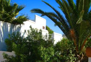 a white building with palm trees in front of it at Alternative Space Bed and Breakfast in Swakopmund