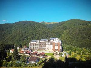 George Apartment Sinaia с высоты птичьего полета