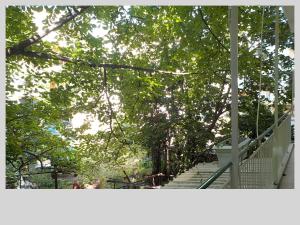 une passerelle avec des escaliers menant à un arbre dans l'établissement G & G guesthouse, à Édessa
