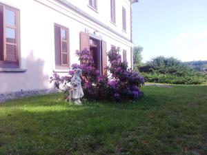 Hotel Castle Mlýn Maděrovka外面的花园