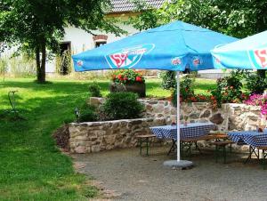 Hotel Castle Mlýn Maděrovka外面的花园