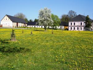 Hotel Castle Mlýn Maděrovka外面的花园
