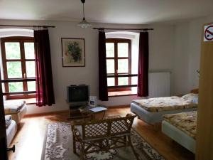 Hotel Castle Mlýn Maděrovka的电视和/或娱乐中心