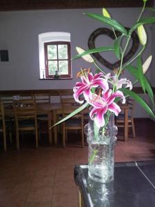 SepekovHotel Castle Mlýn Maděrovka的相册照片