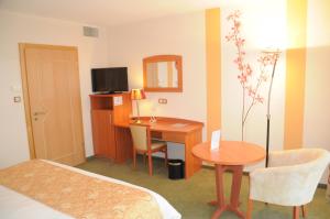 Gallery image of Hotel Cigoland in Kintzheim