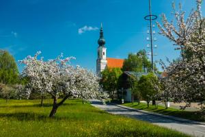 Zahrada ubytování Klostergasthof Raitenhaslach