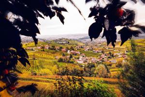 uma vista para uma aldeia nas colinas em Sul Bric Dei Capalot em La Morra