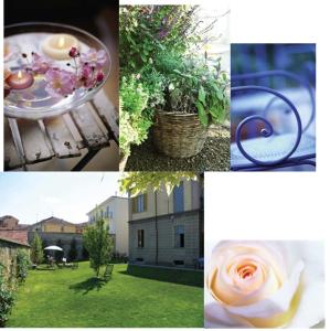 Fotografie z fotogalerie ubytování L'Ortodellerose v Albě