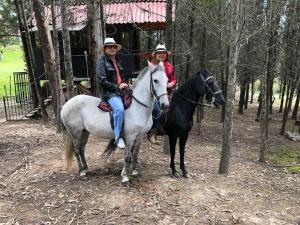 two women are riding on horses in the woods at Despierta En El Árbol Desayuno Americano a tu ritmo somos Petfriendly in Pesca