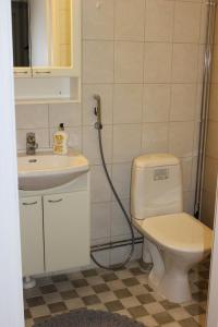 a bathroom with a toilet and a sink at Majoituspalvelu Nurmi Apartment Peipontie 3 A Saunallinen Huoneisto in Raahe