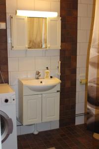 a bathroom with a sink and a mirror at Majoituspalvelu Nurmi Apartment Peipontie 3 B in Raahe