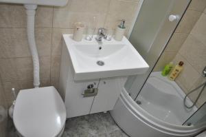 La salle de bains est pourvue d'un lavabo, de toilettes et d'une douche. dans l'établissement Green House, à Kolašin