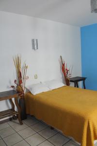 Gallery image of HOTEL NIUT-JA in Oaxaca City