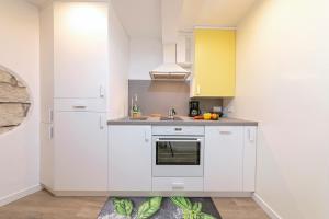 Kuchyň nebo kuchyňský kout v ubytování Mariva Downtown apartment with free parking