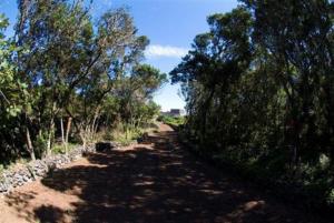 Gallery image of Casa Das Faias in Santa Cruz da Graciosa