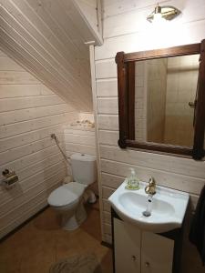 ゴウダプにあるMazurski Stawのバスルーム(トイレ、洗面台、鏡付)
