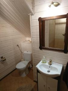 a bathroom with a toilet and a sink and a mirror at Mazurski Staw in Gołdap