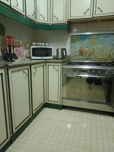 Kjøkken eller kjøkkenkrok på Private Family Apartment in Dokki
