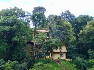 a house in the middle of the forest at Morrillo Beach Eco Resort in Morrillo
