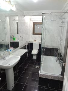 een badkamer met een wastafel, een douche en een toilet bij Private Family Apartment in Dokki in Caïro