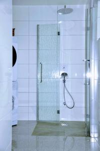 um chuveiro com uma porta de vidro na casa de banho em Ferienwohnung Kochs Beeren em Oberfresen