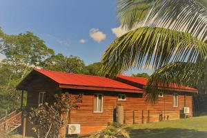 Gallery image of The Log Cab-Inn in San Ignacio