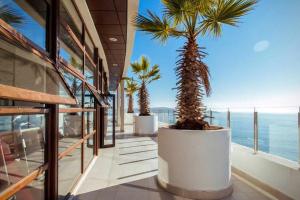 a balcony with palm trees and the ocean at Departamento Jardin del Mar La Serena in Coquimbo