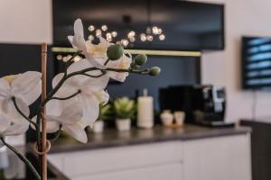 Kuchyň nebo kuchyňský kout v ubytování Apartamenty Balbina 1 + 18 fotografií