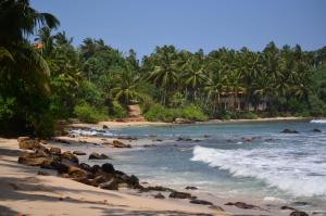 a beach with a bunch of palm trees and waves at Ashford Beach in Matara