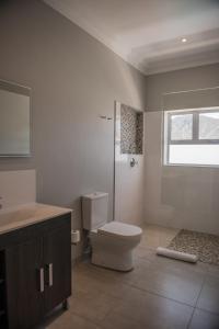 a bathroom with a toilet and a shower and a sink at The Whale on Main B&B in Hermanus