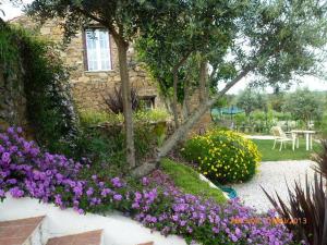 Κήπος έξω από το Casal da Cortiçada