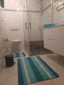 a bathroom with a shower and a green rug at Eifelflair in Retterath +3 photos