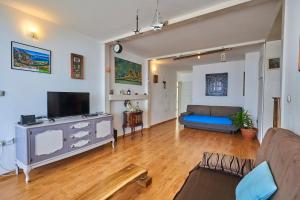 TV a/nebo společenská místnost v ubytování Apartments Milina