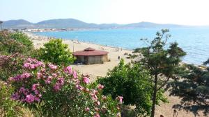 Φωτογραφία από το άλμπουμ του Cicek Aile Pansiyonu σε Burhaniye