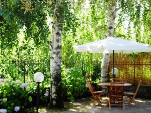 ボルセーナにあるCasetta sul Lagoの庭園の傘下のテーブルと椅子
