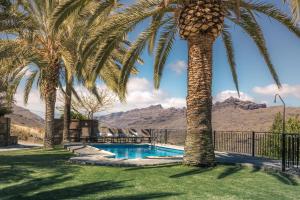a palm tree and a swimming pool with mountains in the background at Finca Horno de la Teja in Mogán