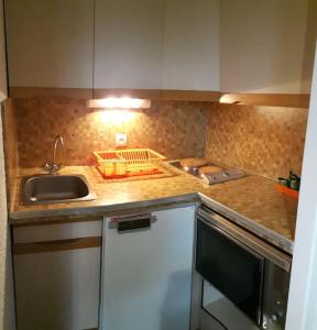 a kitchen with a sink and a counter top at Le Champame in Mont-de-Lans