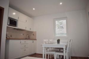Dapur atau dapur kecil di Apartmány pod sjezdovkou