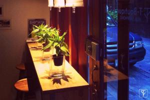 a table with a plant in a vase on it at T-Boutique Hostel - Hua Lamphong in Bangkok