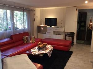 ein Wohnzimmer mit roten Sofas und einem TV in der Unterkunft Ferienhaus Prieros in Heidesee