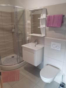 y baño con ducha, aseo y lavamanos. en Apartmaji Janković, en Logatec