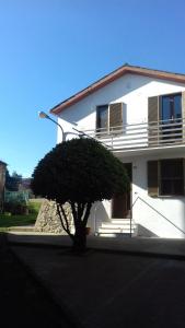 uma casa branca com uma árvore em frente em Casa Galli em Castel Giorgio